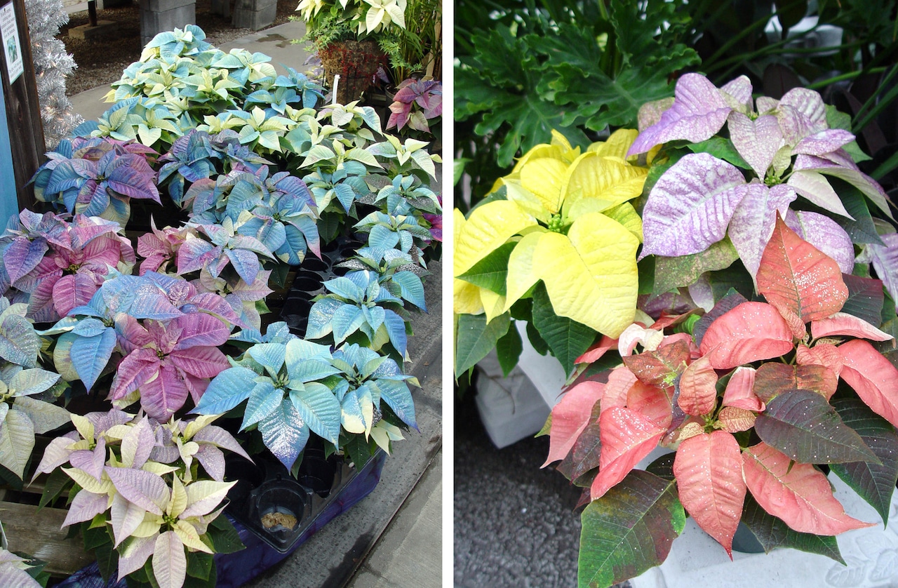 Color "accessorizing"