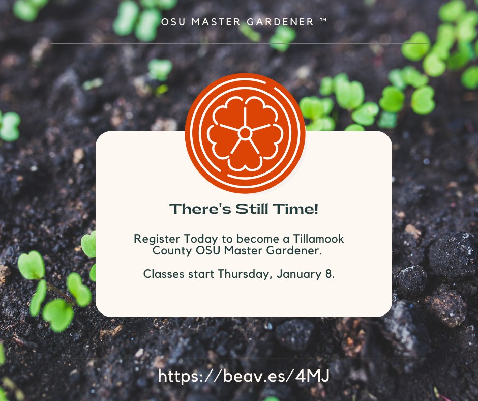 2026 OSU Master Gardener Training- Tillamook County – APPLY NOW! Classes Start Jan. 8 – Tillamook County Pioneer 2026 OSU Master Gardener Training- Tillamook County – APPLY NOW! Classes Start Jan. 8 – Tillamook County Pioneer