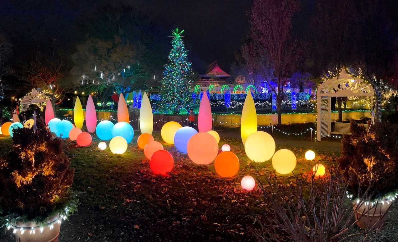 The lights at Phipps