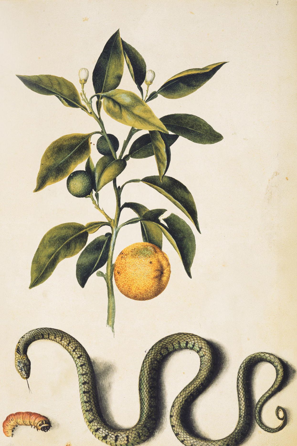 Paintings of Alexander Marshal