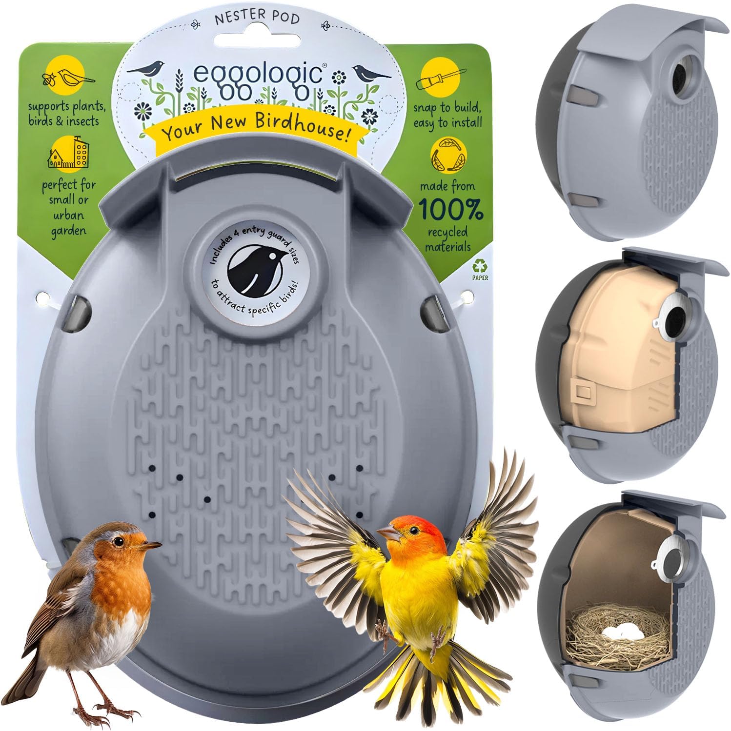 Eggologic Nester Pod - Perch Free Vertical Bird Box for Wild Birds &ndash; Sparrow and Blue Tit Bird House, Bird Houses for Garden Made From 100% Recycled Materials for Strength and Durability &ndash; Stone Gray