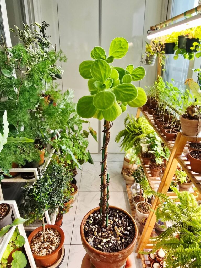 Proof that patience and sunlight actually pay off