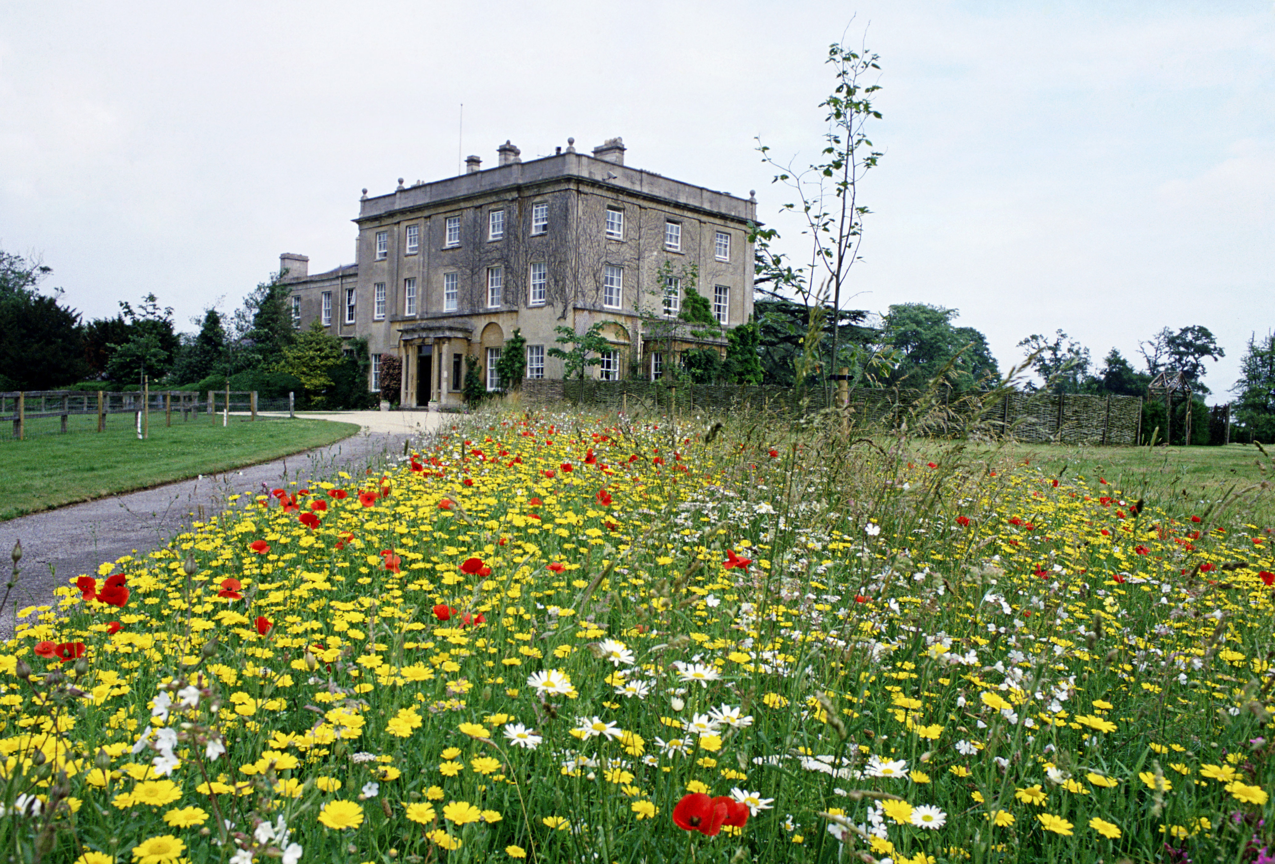 Highgrove House and a field of flowers leading up to the exterior of the home