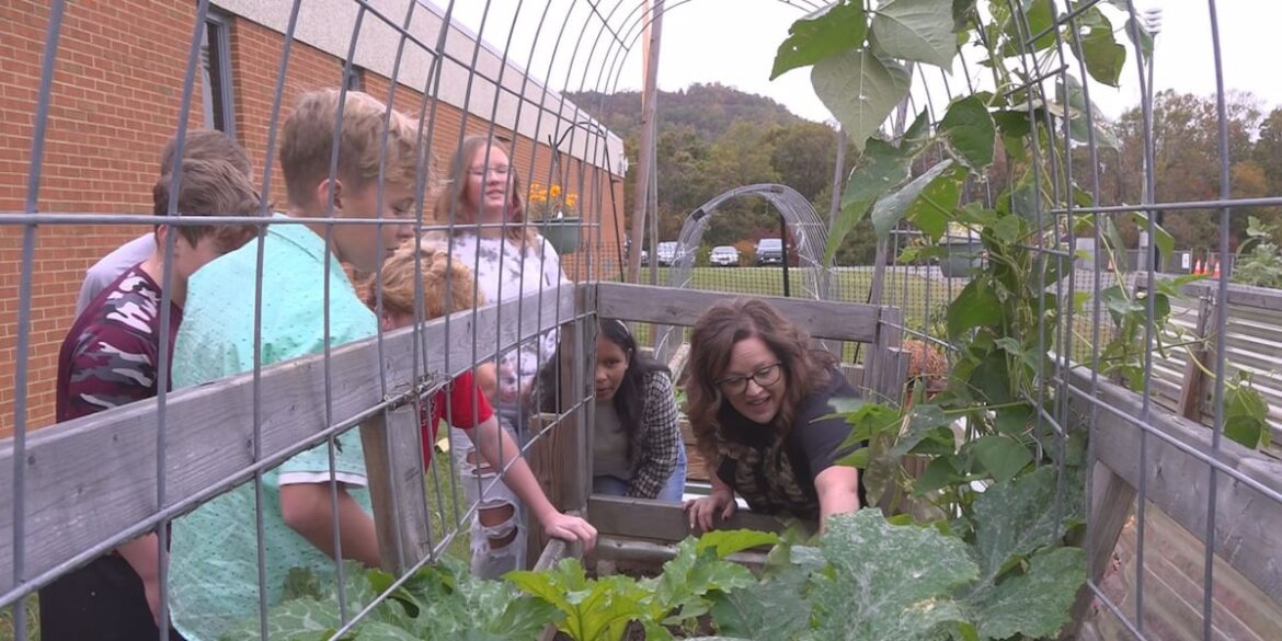 Benjamin Franklin Middle School garden earns national award