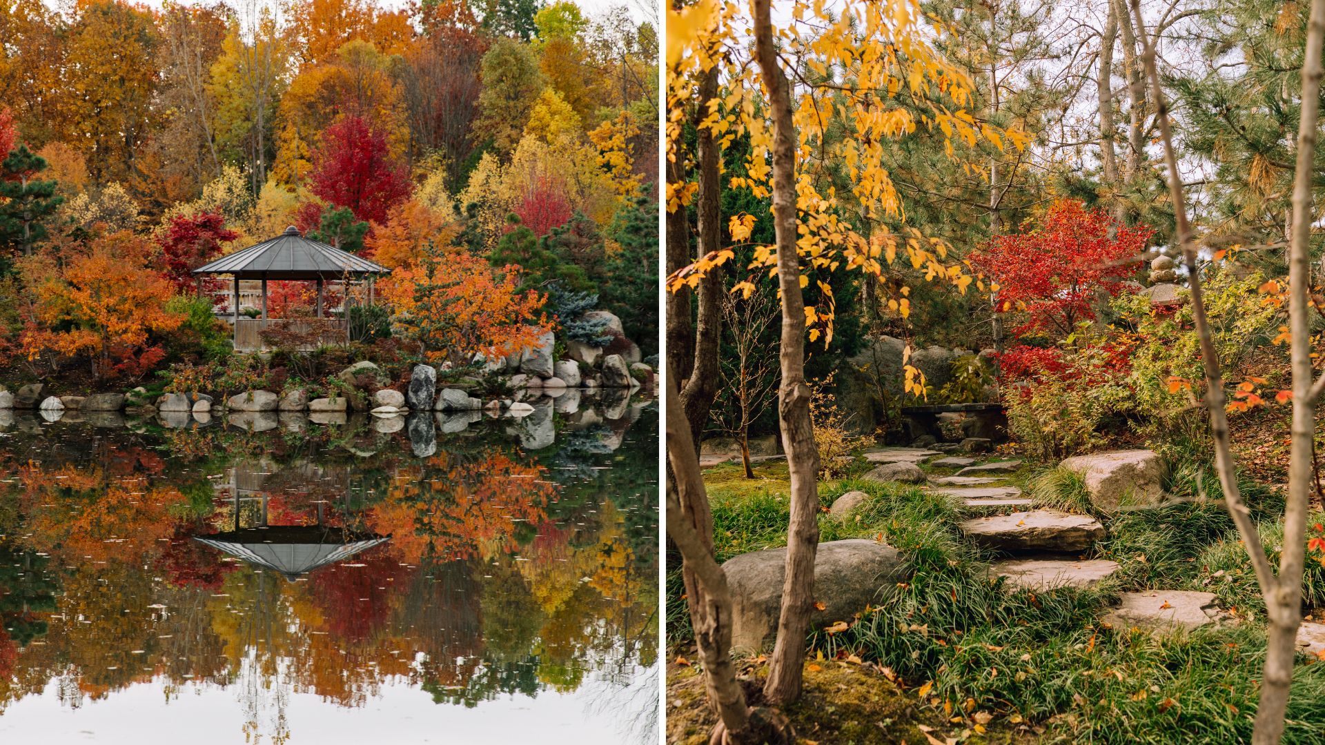 Meijer Japanese Garden in fall, colorful foliage and reflection of a pergola in water