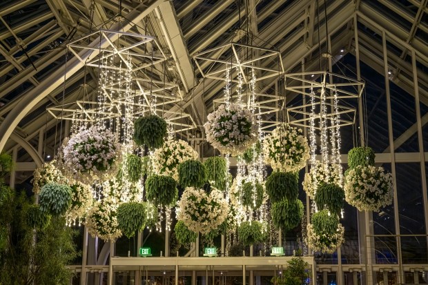 Longwood Gardens is lighting up for the holidays once again. (Harold A. Davis for Longwood-Gardens)