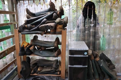 The community garden in Ballymun