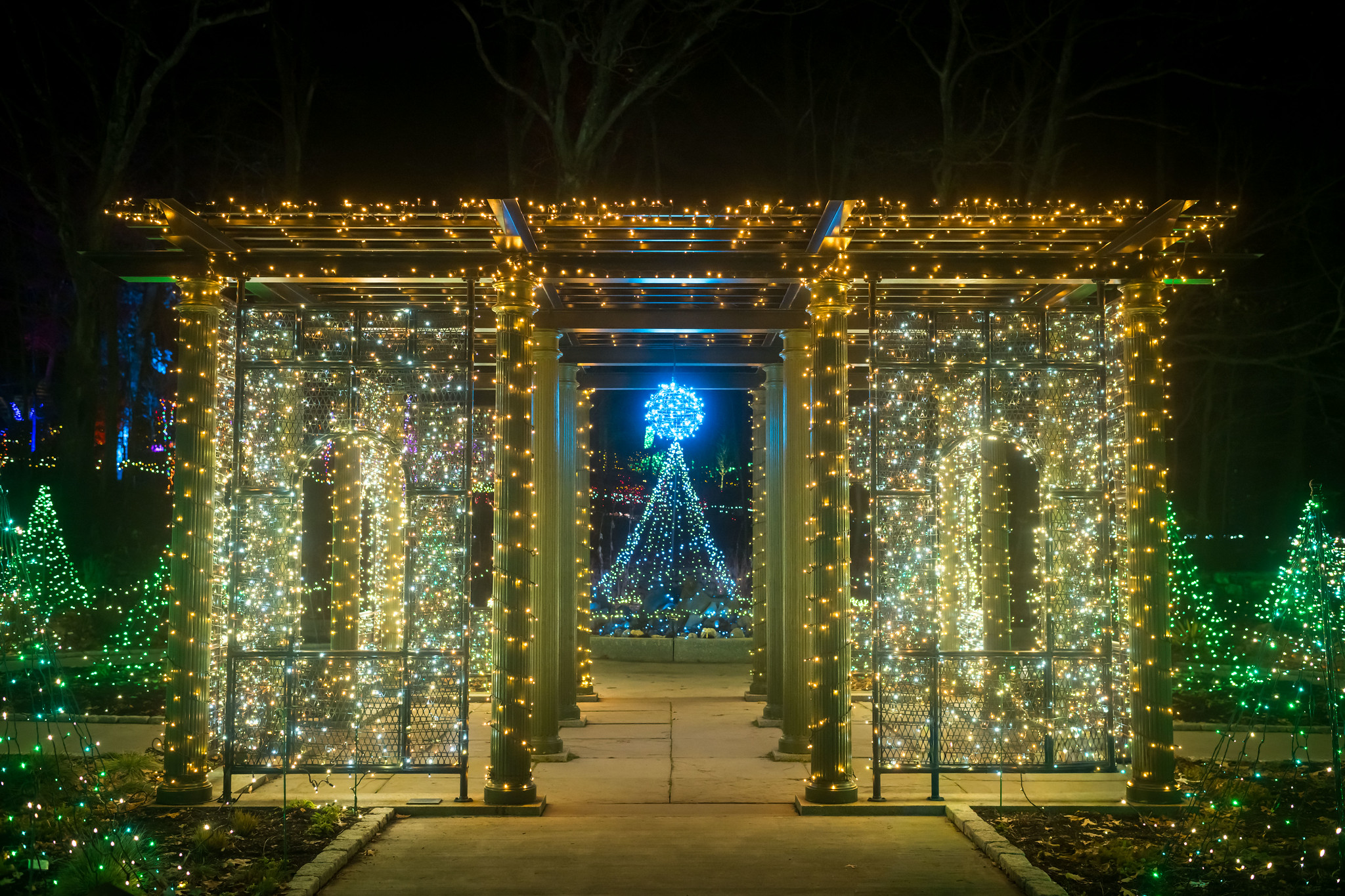 The New England Botanical Garden at Tower Hill's 2025 "Night Lights" holiday lights display will illuminate Boylston daily through Jan. 4, 2026.