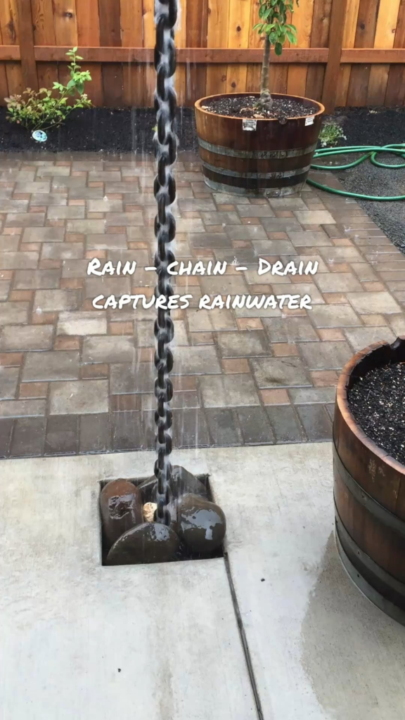 Rain - Chain - Drain collects water and sends it to the Raingarden, which then filters the water and slows down the storm surge.