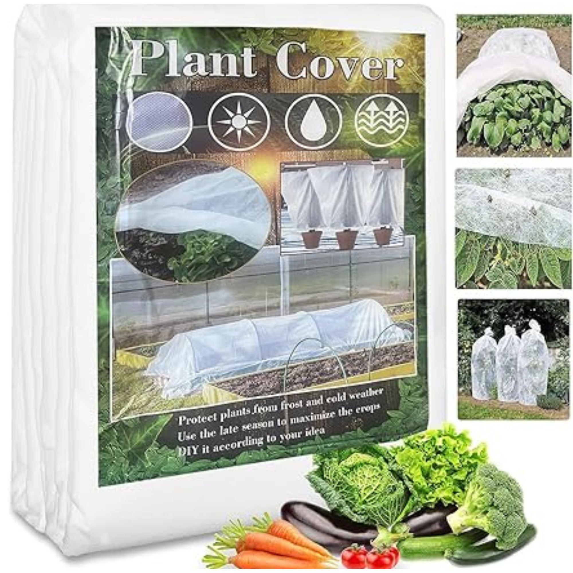 plant cover
