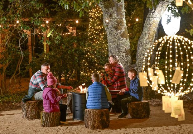Cozy moments around glowing fire pits. The Sonoma Botanical Gardens will host the Gardens Aglow event, which runs Fridays, Saturdays, and Sundays from Dec. 5-21, with timed, ticketed entry at 5 p.m. and 6:30 p.m. (Photo by Daniel Perales/ Courtesy of the Sonoma Botanical Garden.)