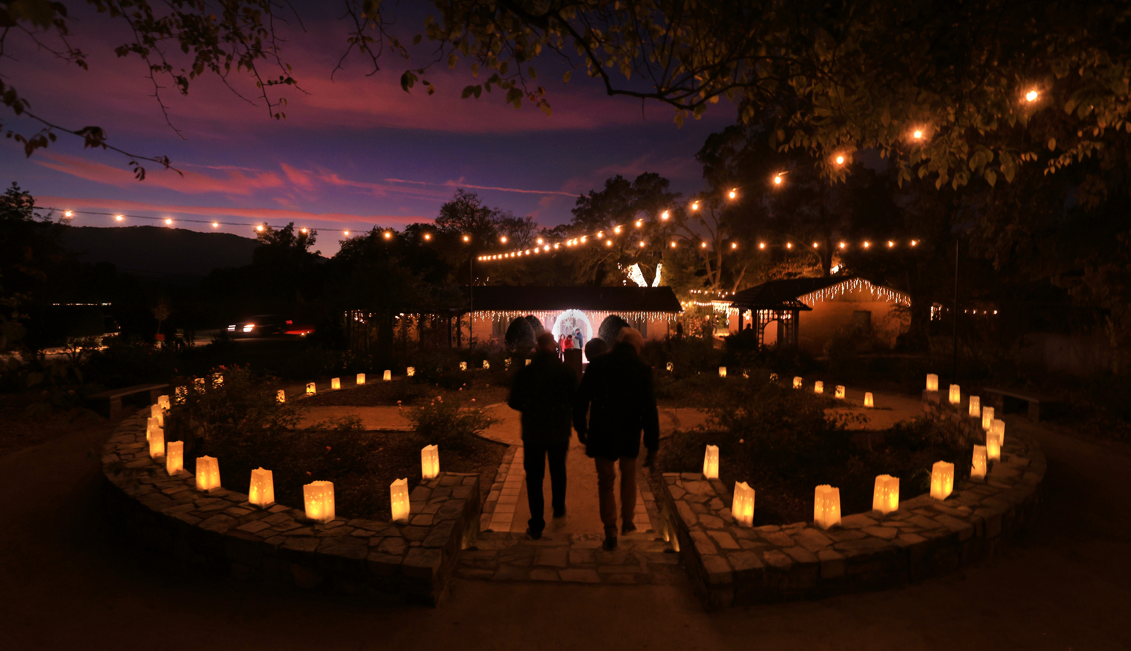 A Christmas luminaria path guides visitors in to Sonoma Botanical...