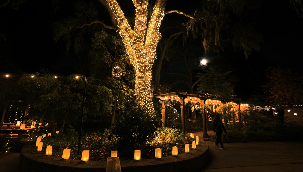 Sonoma Botanical Garden kicks off ‘Gardens Aglow’ celebration Sonoma Botanical Garden kicks off ‘Gardens Aglow’ celebration