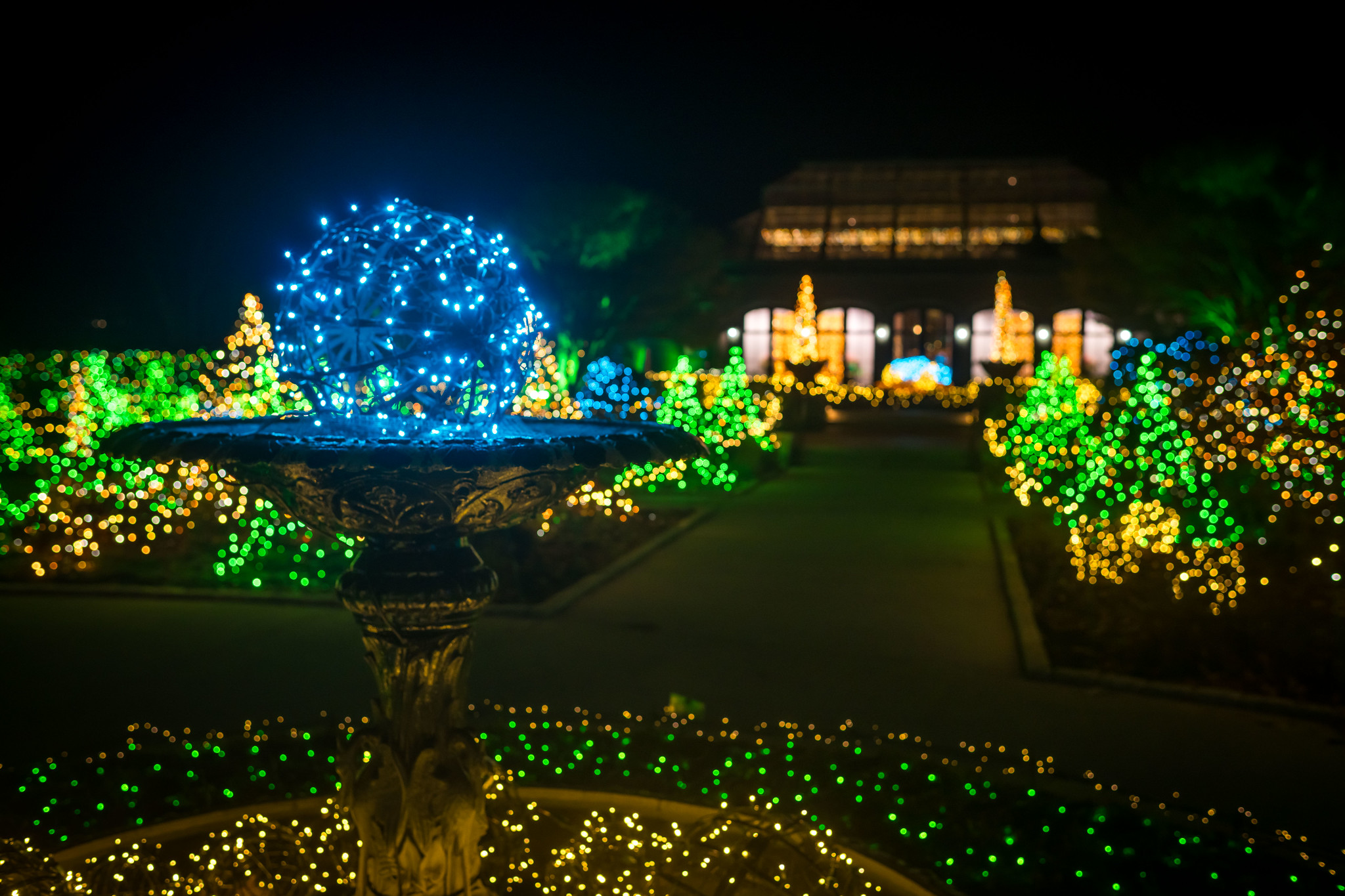 The New England Botanical Garden at Tower Hill's 2025 "Night Lights" holiday lights display will illuminate Boylston daily through Jan. 4, 2026.