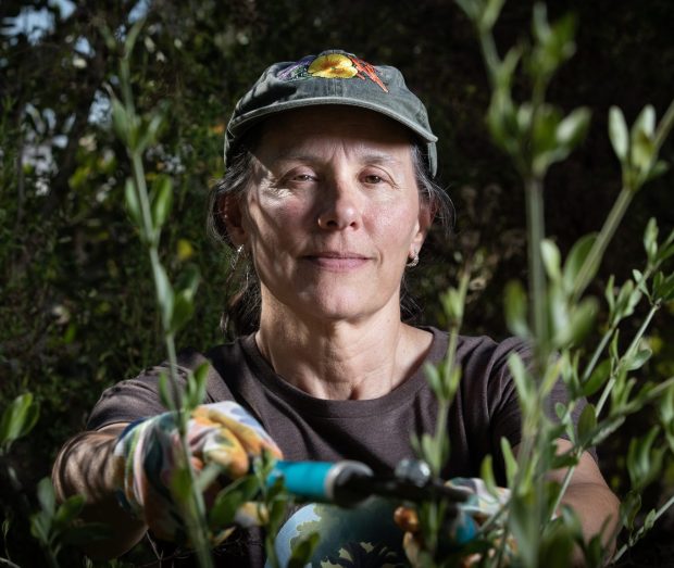 "Butterflies, hummingbirds, they'll find that one single plant on your balcony. So every little bit helps," Sherry Ashbaugh said. (Ana Ramirez / The San Diego Union-Tribune)