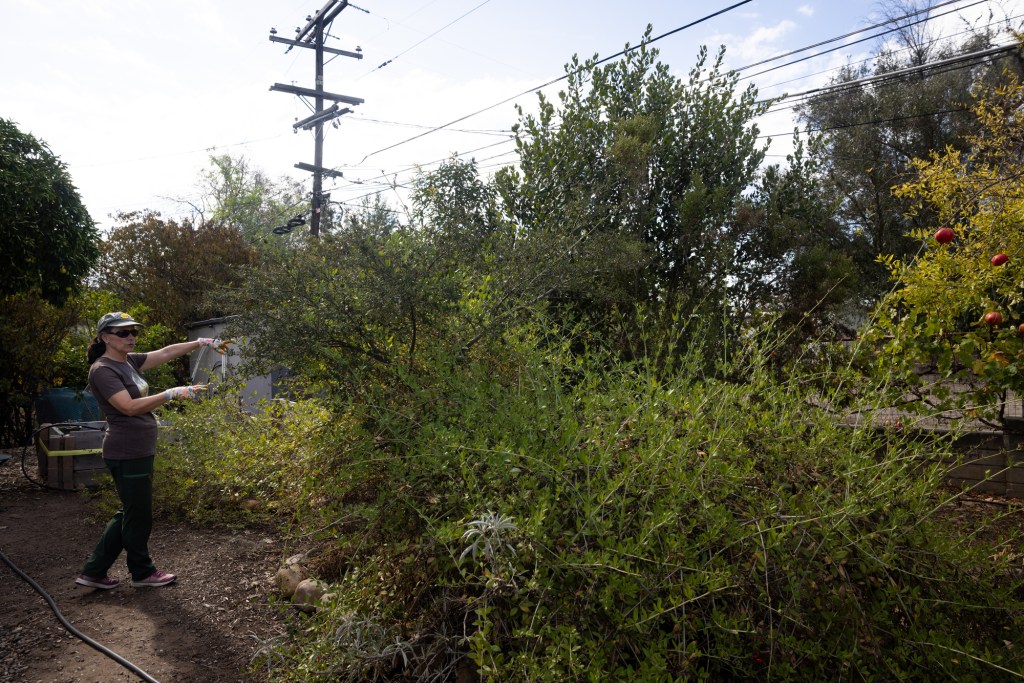 A how-to – San Diego Union-Tribune A how-to – San Diego Union-Tribune