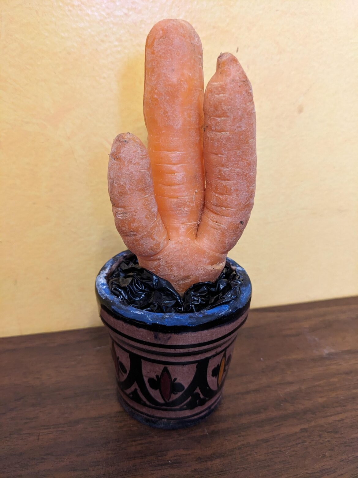 Saguaro Carrot