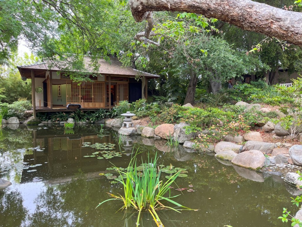 A garden with water in the background