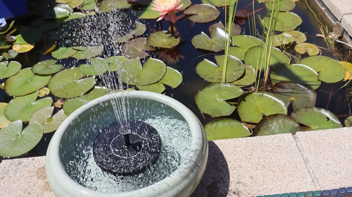 Kem Ormond’s vegetable garden: Christmas gift ideas for the gardener in your life Kem Ormond’s vegetable garden: Christmas gift ideas for the gardener in your life