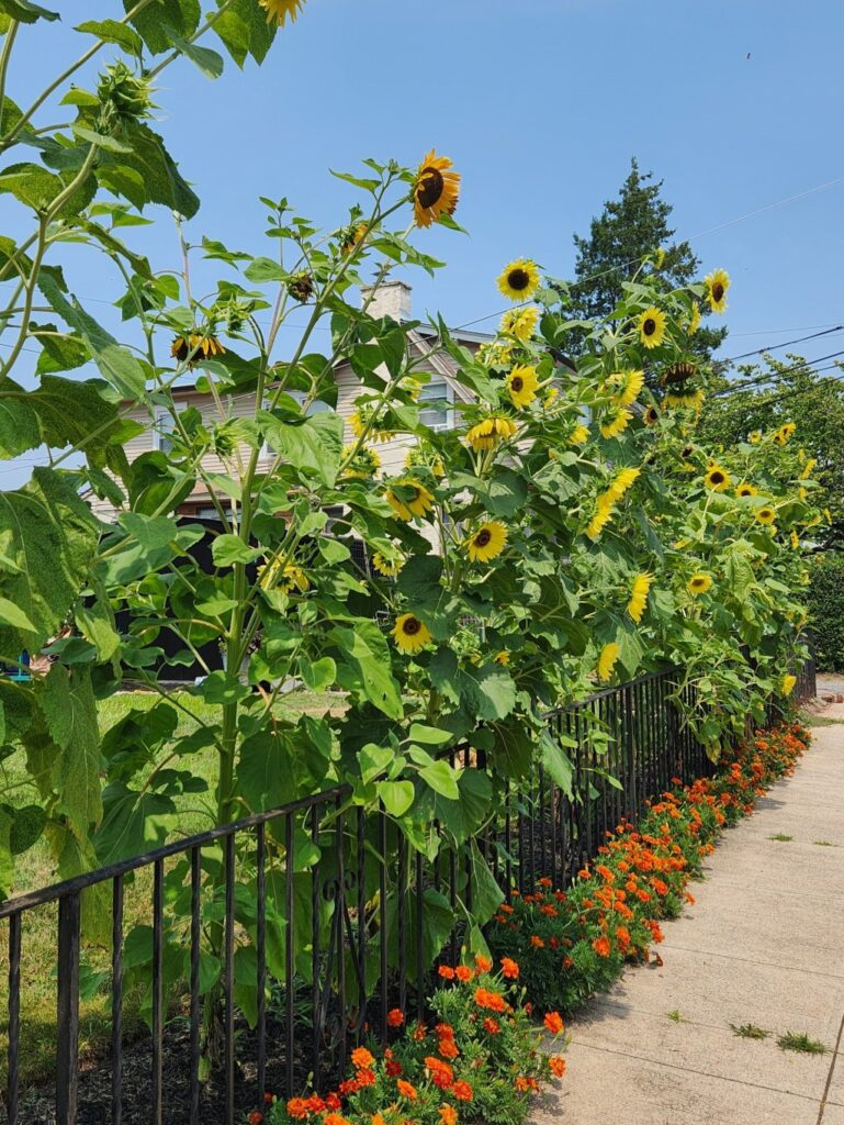 From the Ground Up: Intangible gifts