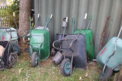 The community garden in Ballymun
