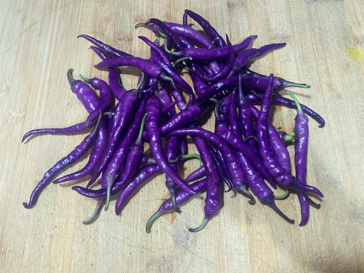 These guys are pretty and hot!