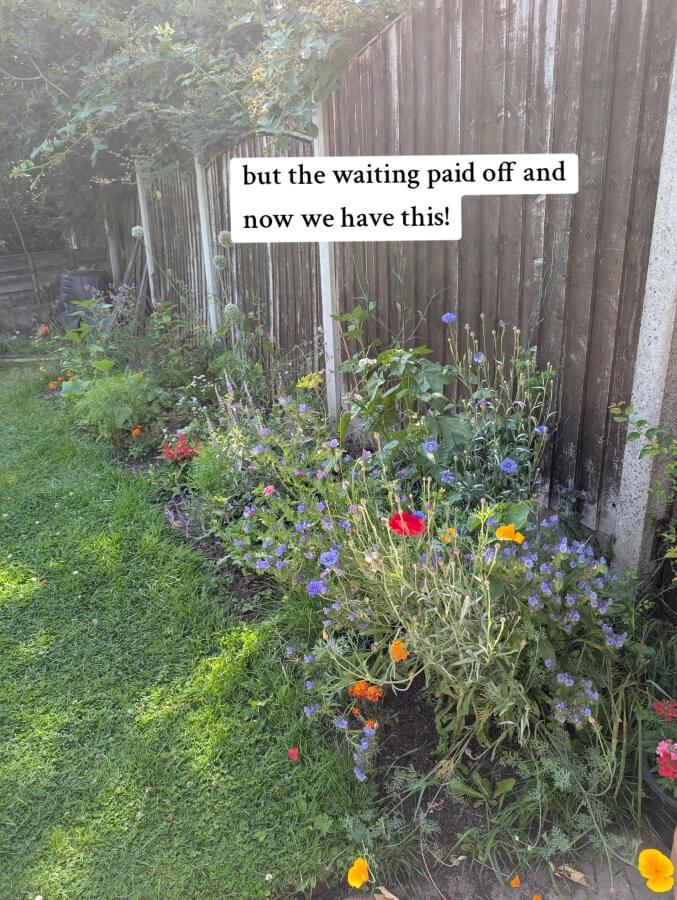 One gardener shared a simple no-dig gardening technique on TikTok that turns a boring lawn into a thriving wildflower haven.