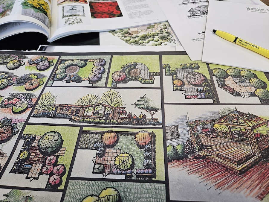 Grow your skills: Introducing our garden design series Title Photo 1