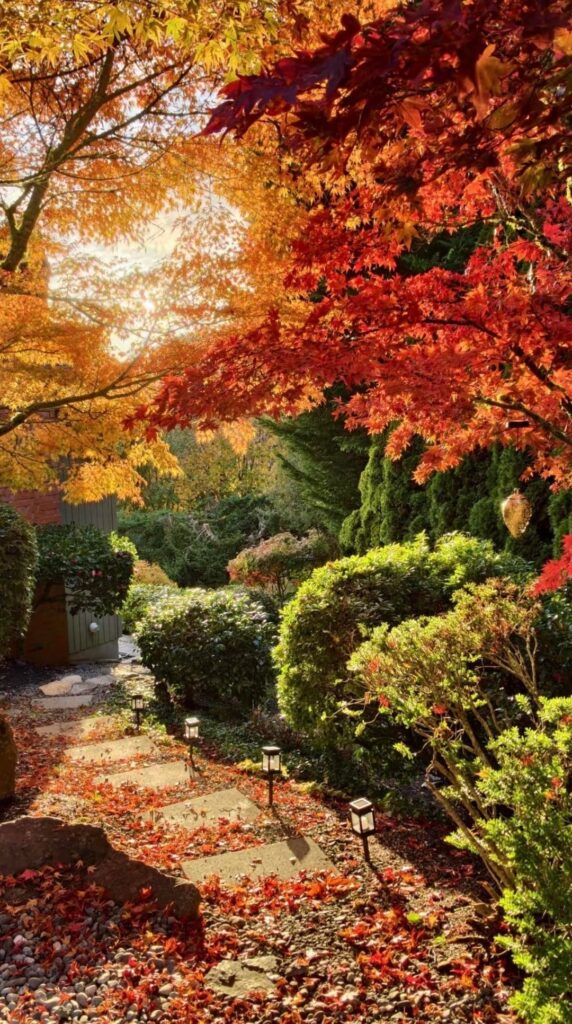 Visiting my friend’s garden feels like stepping into a fairytale. Visiting my friend’s garden feels like stepping into a fairytale.