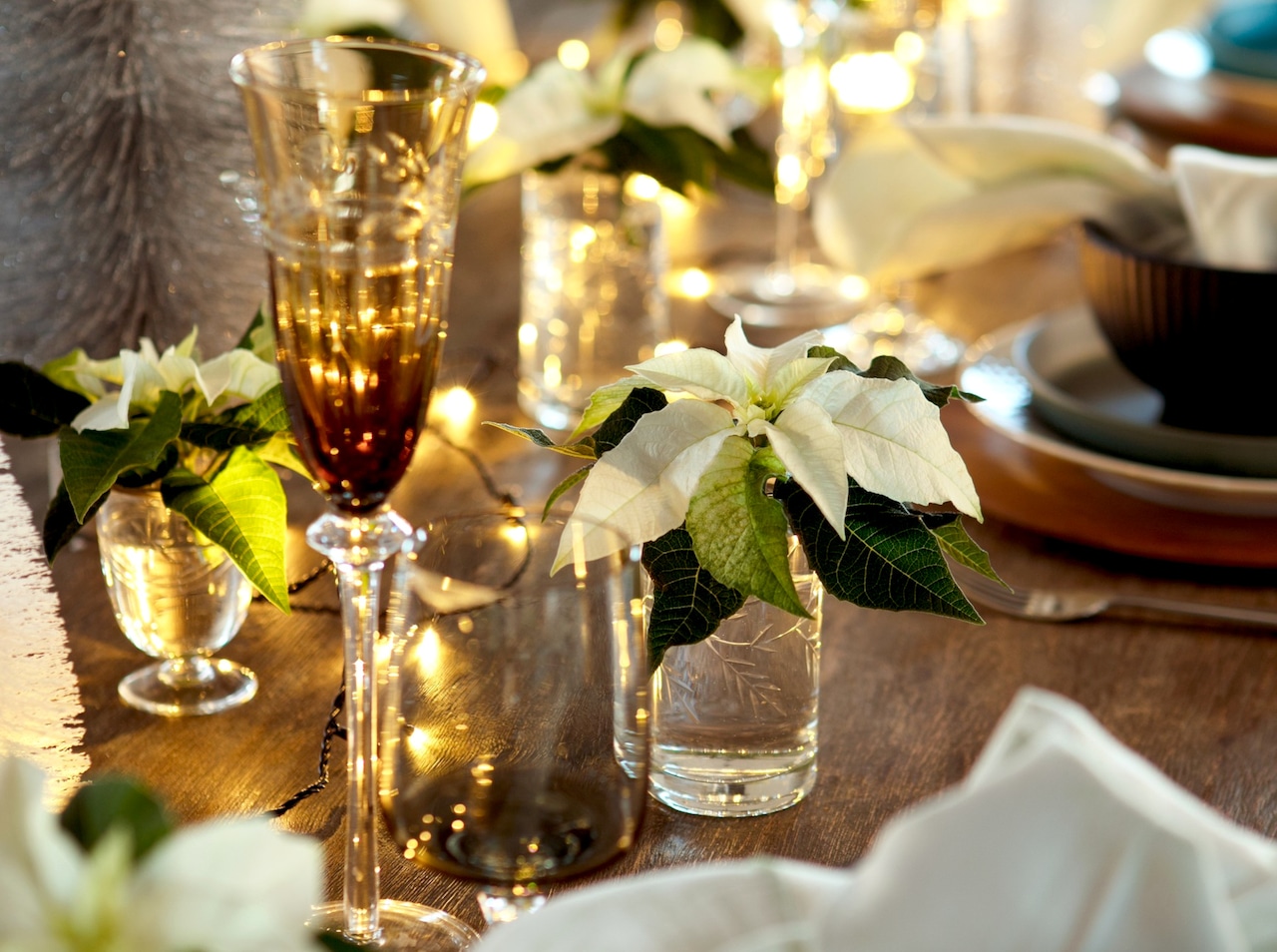 Poinsettias as cut stems