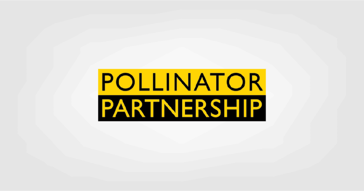 Indiana gets new pollinator license plate in 2026