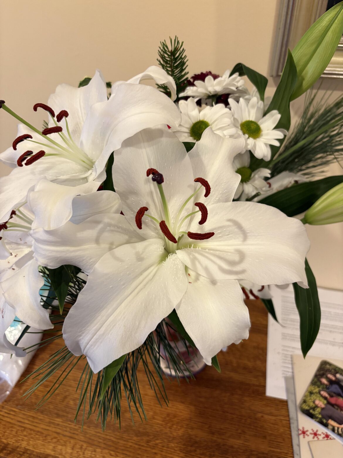 Update to lily question: my cat is ok!!!