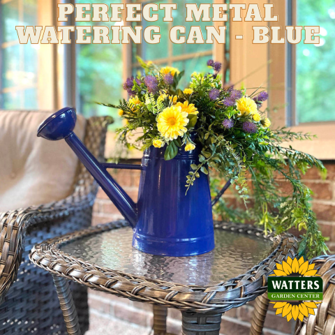 blue watering can with flowers in it, with "perfect metal watering can - blue" written above