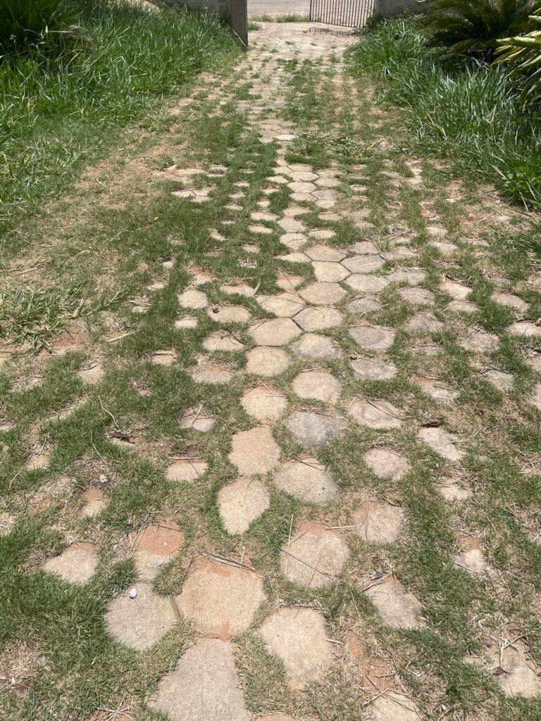 Weeding Help: How to Clean a Stone Paver Driveway/Path with Open Gaps?