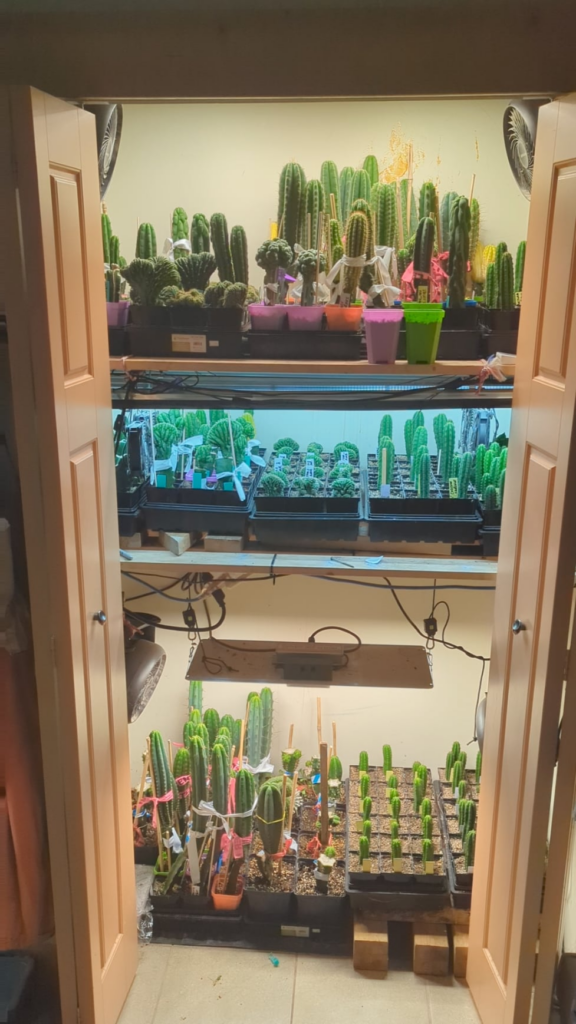 My jungle in the closet