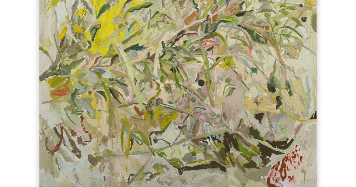 ‘The Painter’s Garden’ in Fort Worth shows the elegance of North Texas plants