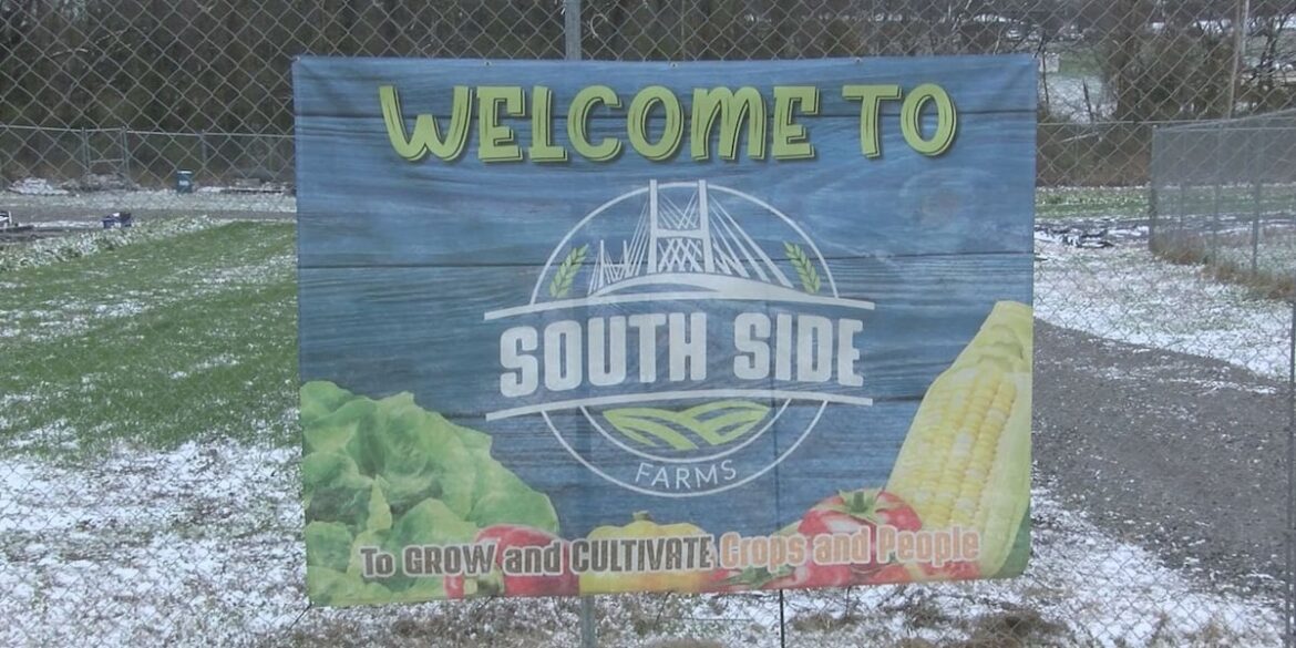 Heartland community garden gets support to fight food insecurity