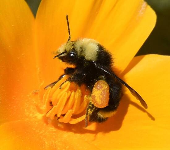 YFBBonCP26-2-231.jpg YFBBonCP26-2-231.jpg