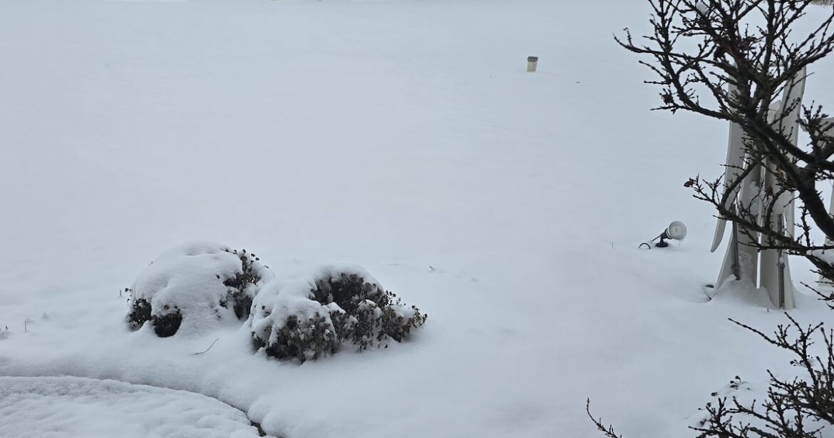 How winter can help save your forgotten pots