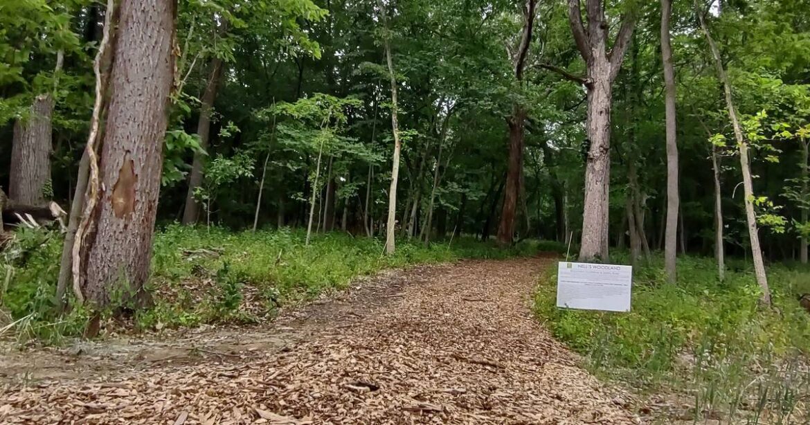 Master Gardeners plan winter seed workshop Jan. 31 – Shaw Local