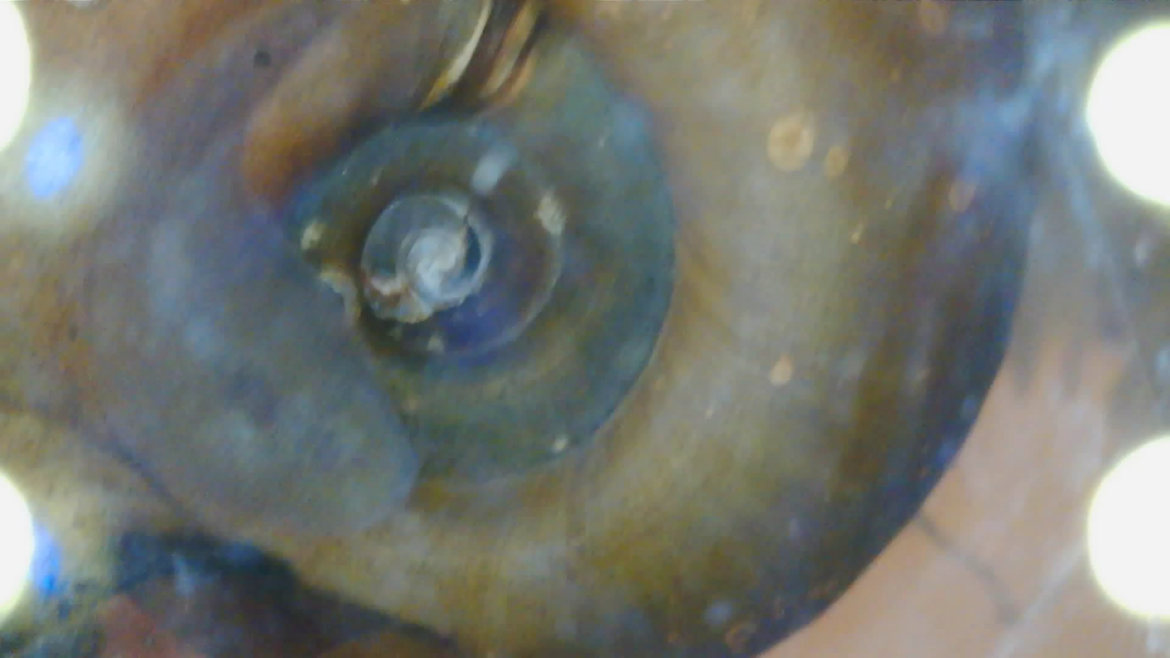 My leech has some serious moves!