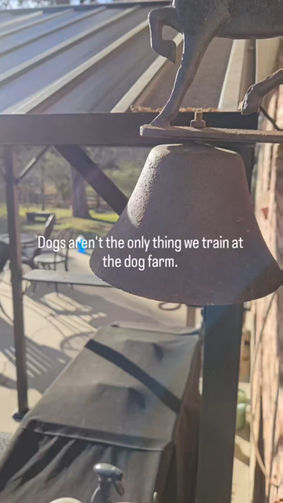 Hows your girls recall? This has made accountability easy, minus one hard headed girl.