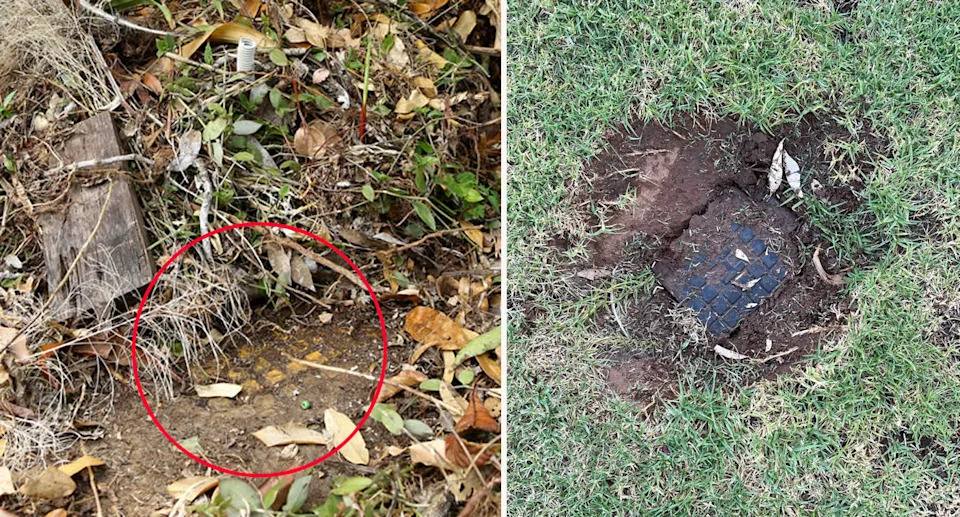 Left: Hidden yellow fire hydrant under foliage. Right: Fire hydrant dug up beneath grass.