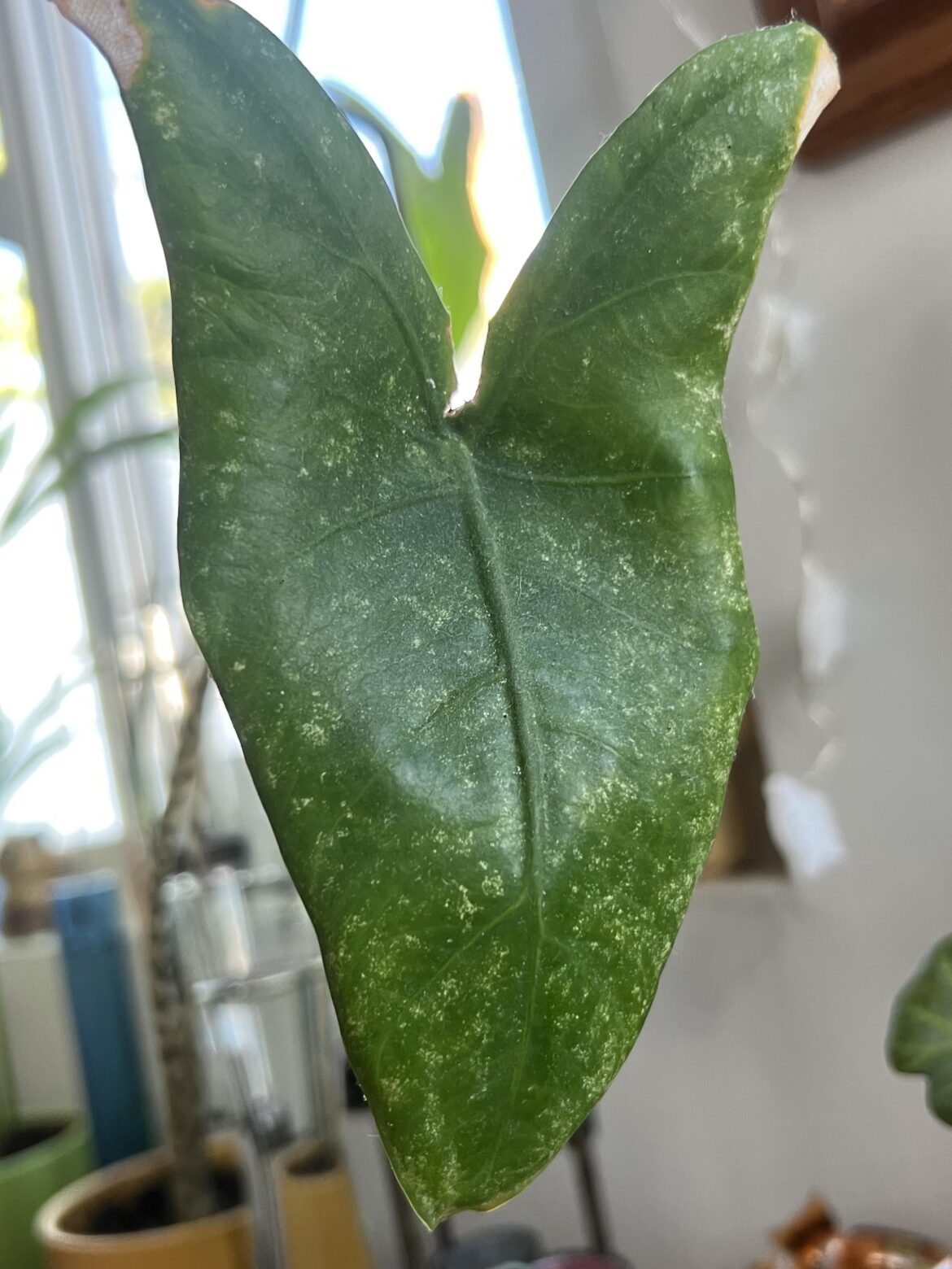 Should I be worried?? Should I be worried??