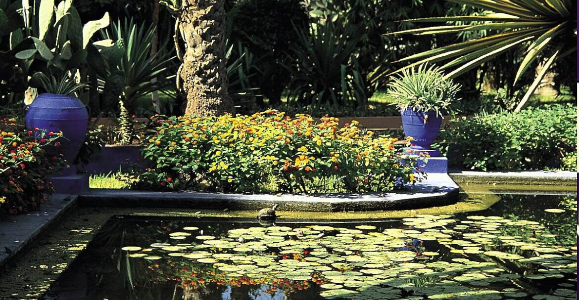 Gardening Stories: La Majorelle an iconic garden in Marakaecch Gardening Stories: La Majorelle an iconic garden in Marakaecch