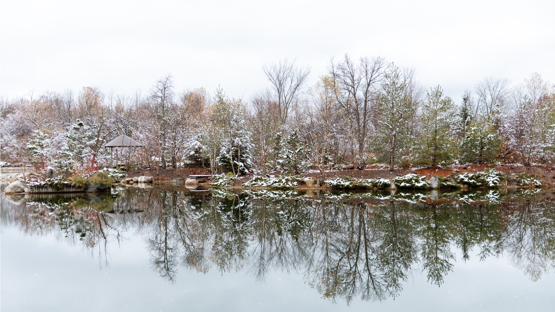 Meijer Japanese Garden in winter. View of the pond with tree reflection