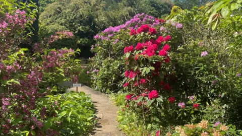 A flag-stone footpath leading to a bridge between two tall bushes of brightly coloured red and pink and purple flowers.