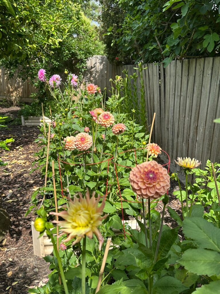 Some more- while they’re going strong