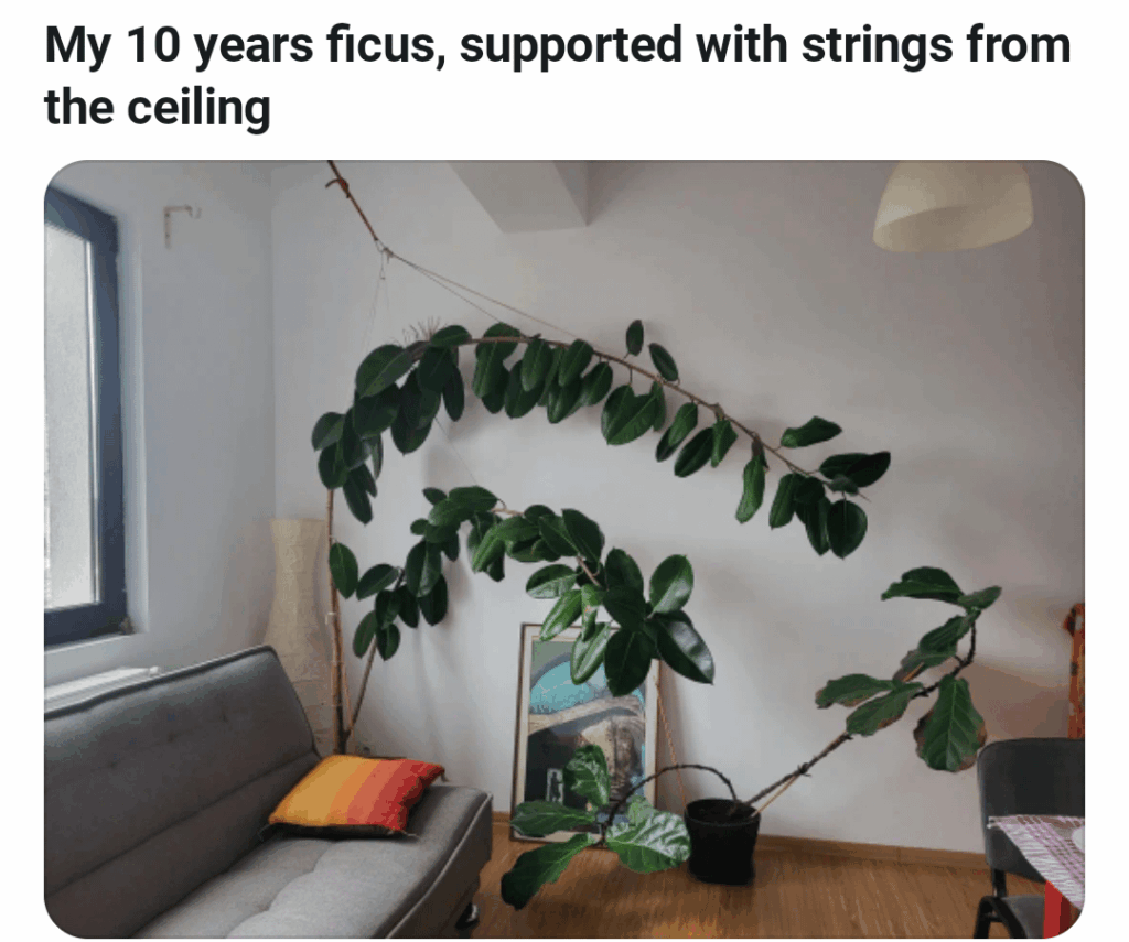 His Name is Lurch, and We're in Love