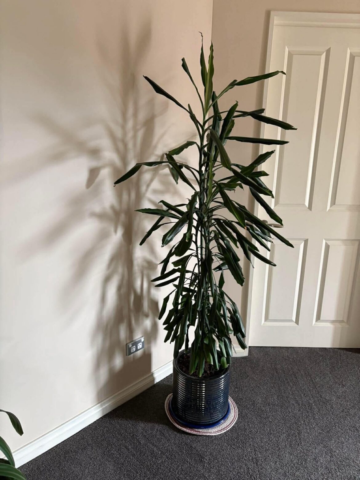 Had this for years don't know what it is!